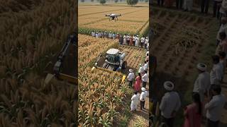 🌾 Robot Harvesting Bajra! | किसान पति-पत्नी का कमाल का देसी जुगाड़ 🚜