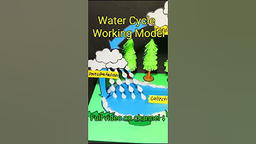 How to make water cycle working model 3d #shortvideo #shortsfeed #shorts #short #scienceproject