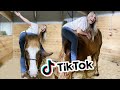 Recreating VIRAL EQUESTRIAN TIK TOKS! PART 6!!