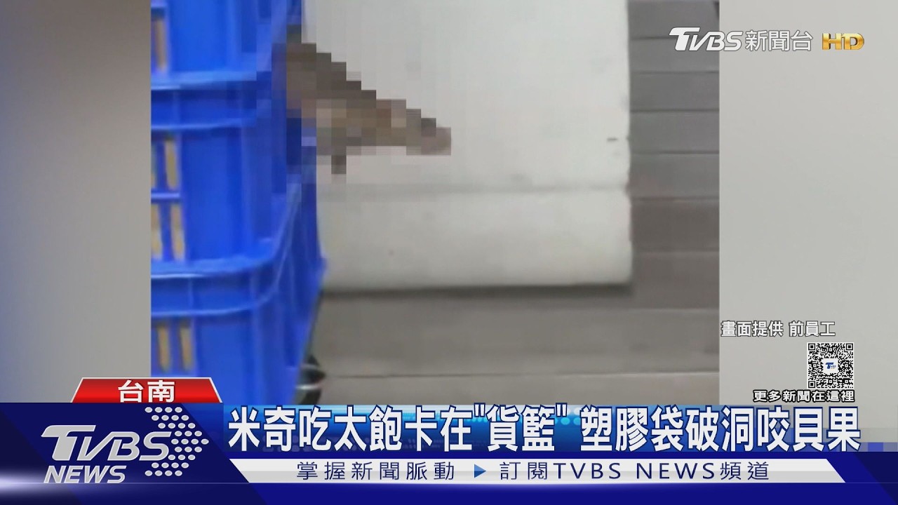 台南貝果名店爆「老鼠亂竄」控用料不實 業者發律師聲明駁｜TVBS新聞 @TVBSNEWS01