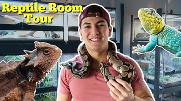 INSANE REPTILE ROOM TOUR!
