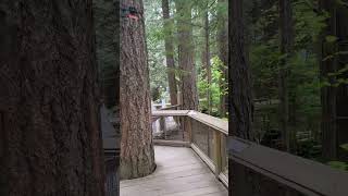 Water bubbles soaring into the air in the Capilano suspension bridge park