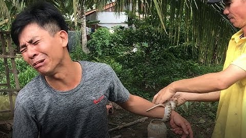 Anh TÈO đi Bắt Chuột gặp Rắn To