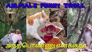 animals funny troll video Tamil @mdtrollmaking963