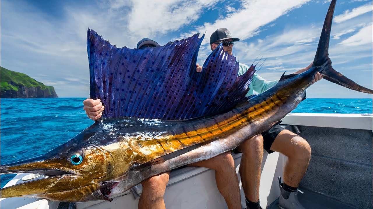 Largest Sailfish Ever Caught: Record-Breaking Ocean Giant