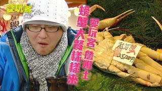 【日本】螃蟹大餐樣樣來～越前蟹大餐吃到你滿嘴香濃！！【愛玩 ...