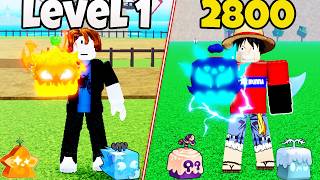 Noob To Max Using Only ELEMENTAL FRUITS in Blox Fruits [FULL MOVIE]