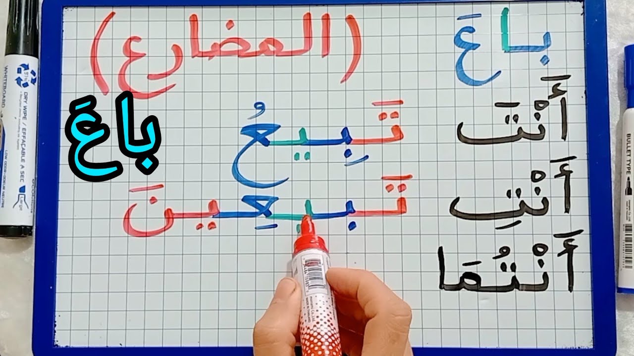 الدرس231:قواعد تصريف الفعل المعتل الأجوف (باع) في الماضي،المضارع و الأمر للمبتدئين بطريقة  سهلة