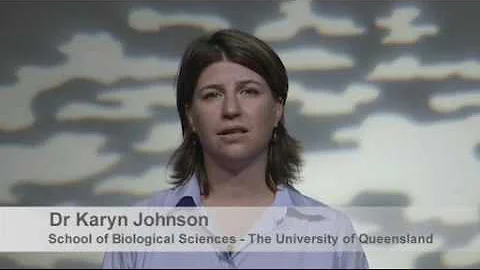 Fighting Mosquito-Borne Infections