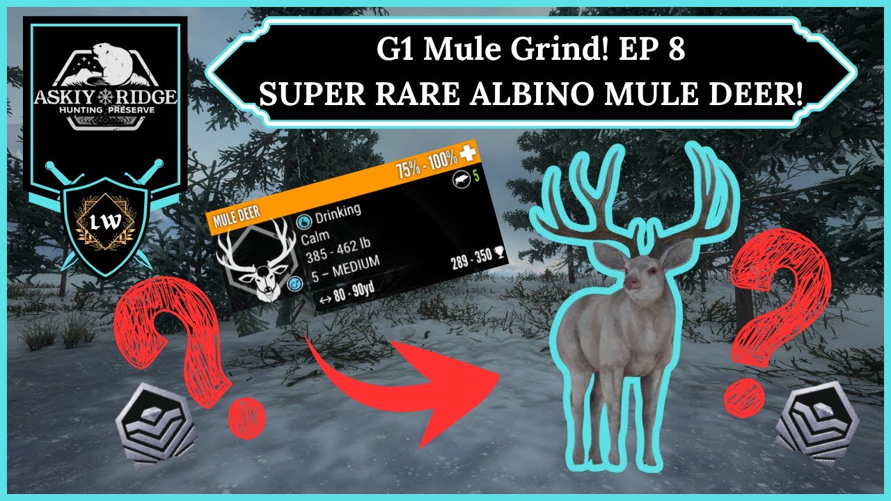 ep-8-sr-albino-g1-mule-deer-grind-askiy-ridge-thehunter-call-of