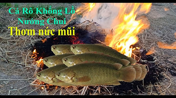 Cá Rô khổng lồ nướng chui thơm ngon khó cưỡng I PTV Channel