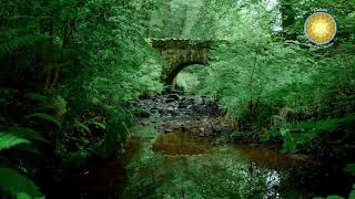 Rust En Stilte In De Persoonlijkheid