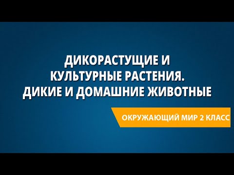 Дикорастущие и культурные растения. Дикие и домашние животные