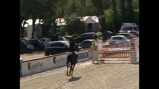 Leona 2015 Tenyészverseny 4 Éves Kat.döntő