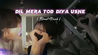 Dil Mera Tod Diye Slowedreverb - Alka Yagnik Kasoor Bollywood Lofi Old Melody