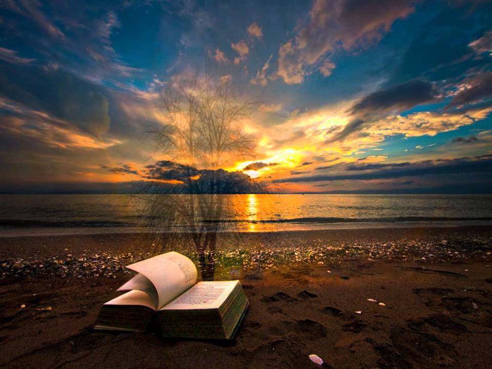 Piet Veerman Ticket To Heaven Youtube