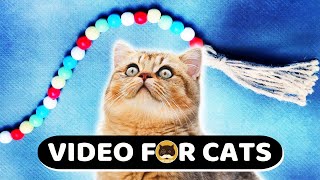 CAT GAMES - Beads on a String. Videos for Cats | Movie for Cats | 1 Hour. by TV BINI 39,796 views 1 year ago 1 hour