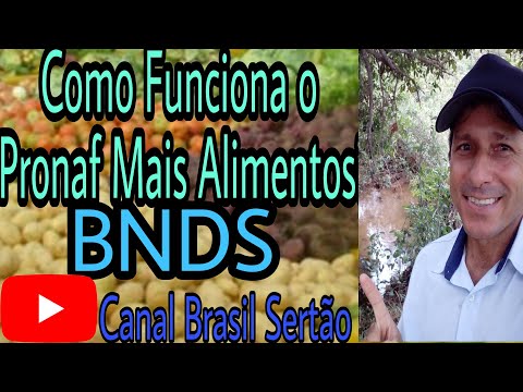 Como Funciona o Pronaf Mais Alimentos (BNDS)