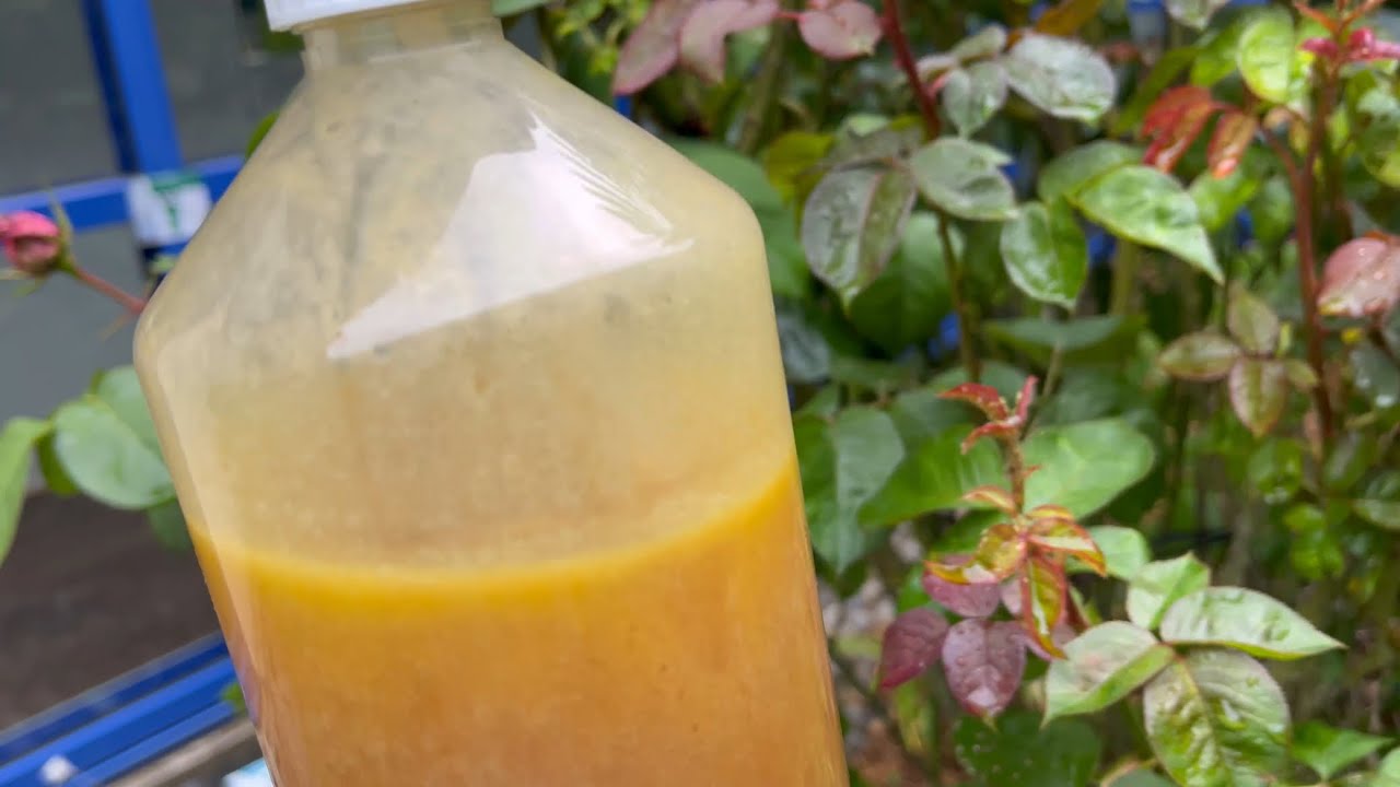 Préparation ANTI-PUCERONS Naturel 