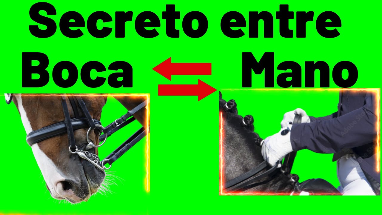 Почему лошади бегут, а не собираются вместе, когда вы отталкиваетесь?