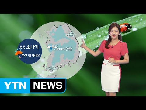 [날씨] 전국 소나기에 더위 주춤...여름 시작 '모기 주의' / YTN (Yes! Top News)