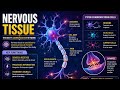NERVOUS TISSUE IN DETAIL 