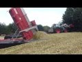 Ensilage maïs 2013  Ille-et-Vilaine
