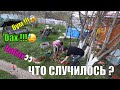 семейные посиделки НАПАДЕНИЕ !!! КТО ЭТО ??? ИЛЬЯ ПОБЕЖАЛ СПАСАТЬ ИНДЮКОВ !