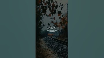 [ إلا تنصروه فقد نصره الله ] حالات واتس اب قرآن كريم | ماهر المعيقلي