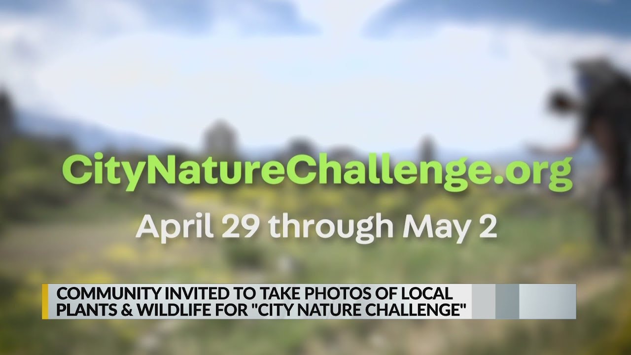 Cite of Albuquerque hosts nature photo challenge
