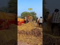 gaon ka balak #kisan