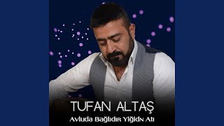 Avluda Bağlıdır Yiğidn Atı