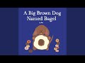 A big brown dog named bagel