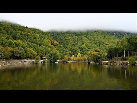 Βίντεο: Ο υάκινθος νερού είναι ένας όμορφος καθαριστής λιμνών