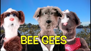 BEE GEES  STAYING ALIVE