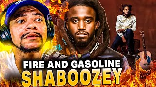 HE MAKES GOOD MUSIC!!! Shaboozey - Fire And Gasoline (LIVE REACTION)