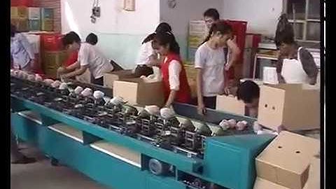 High Efficiency Fruit Sorting Grading Machine