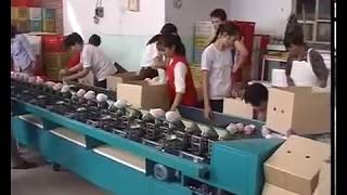 High Efficiency Fruit Sorting Grading Machine