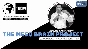 REVERSE ENGINEERING THE BRAIN IN A COMPUTER - MESO BRAIN PROJECT - PROF SRINIVASA CHAKRAVARTHY