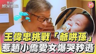 王偉忠挑戰「爺哄孫」 惹趙小僑愛女爆哭秒逃|TVBS娛樂頭條