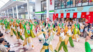 4K] いづる 高知よさこい祭り 2025 本番1日目 帯屋町筋 - YouTube