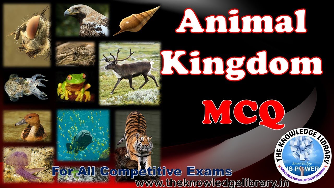 Top 100 MCQ on Animal Kingdom Animal Kingdom Class 11 NEET Biology