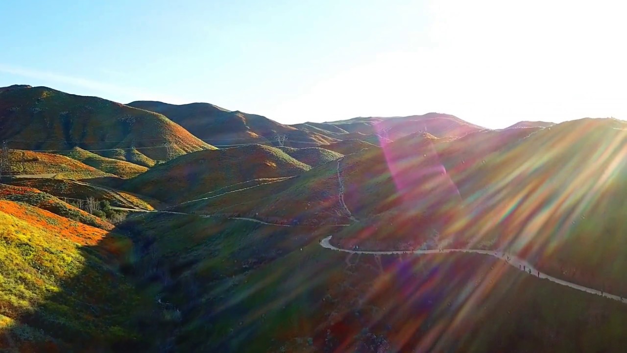 Walker Canyon Poppy Fields in Lake Elsinore 2019 Super Bloom