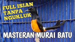 MASTERAN MURAI BATU FULL ISIAN TEMBAKAN TANPA NGUKLUK