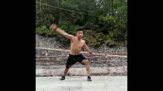 Some Modern Wushu Southern Fist (Nan Quan 南拳) Movements (3rd Nanquan Routine)