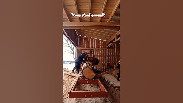 How To Mill Giant Pine Log #homestead  #sawmill  #short
