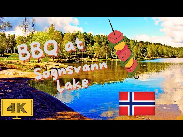 BBQ picnic in Oslo , Norway 🇳🇴 class=