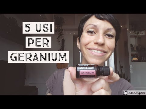 5 MODI PER USARE L&rsquo;OLIO ESSENZIALE DI GERANIO doTERRA | GERANIUM