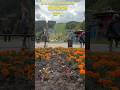 Чорнобривці / Погода в Буковелі / Bukovel weather #morningmusic #ukrainianmusic #georgianvoice