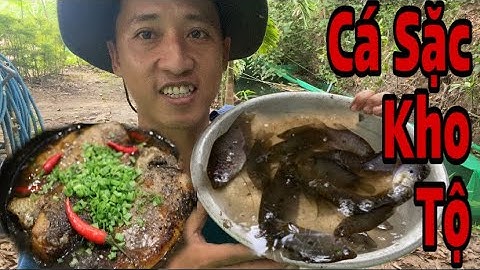 Cá Sặc Kho Tiêu Câu Trúng Ổ Cá Lớn/Thế Anh Vlog#8